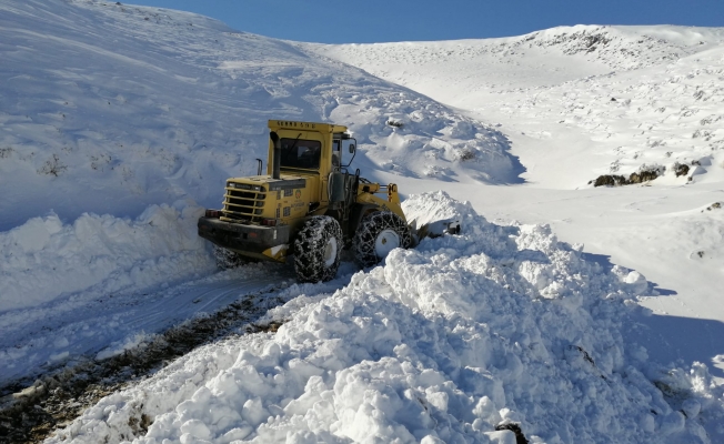 Karla mücadele çalışmaları ilçelerde devam ediyor