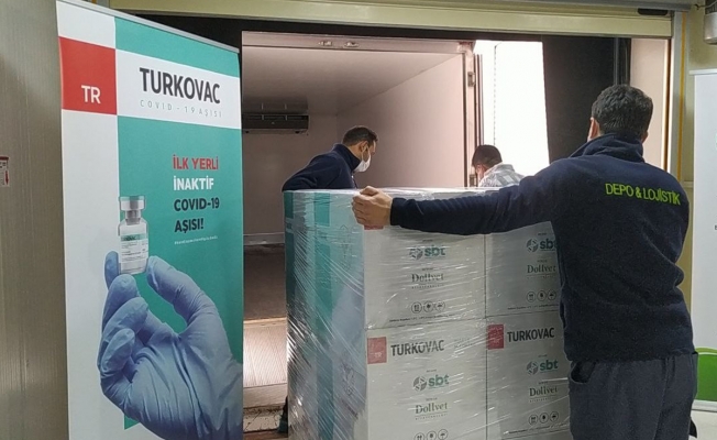 Türkiye'nin yerli aşısı Türkovac'ta ilk sevkiyat yapıldı