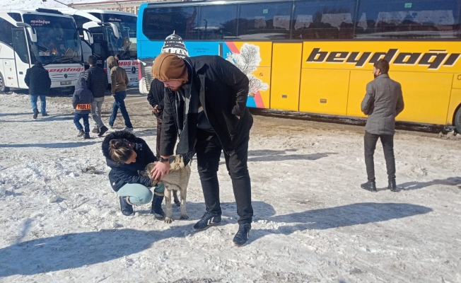 Yolda kalan yolcular köpek besleyerek zaman geçiriyor