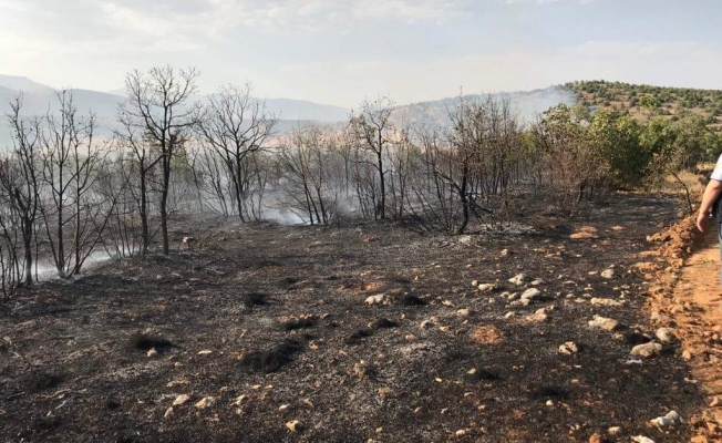Ormanlık alandaki yangın imece usulü söndürüldü