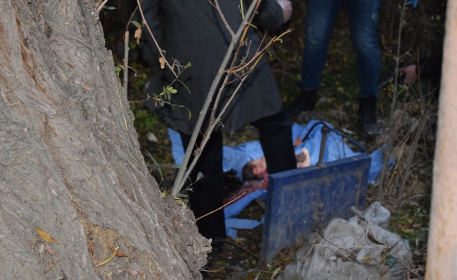 Malatya'da yol kenarında erkek bebek cesedi bulundu