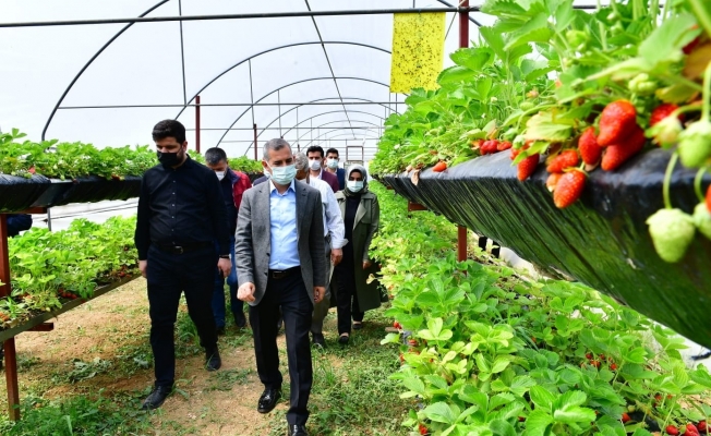 Çınar ‘’Tarım belediyeciliğinde markalaşma hedefimize sağlam adımlar atıyoruz’’