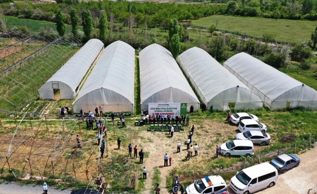 Yeşilyurt Belediyesi, 200 bin fideyi ücretsiz olarak çiftçilerle buluşturuyor