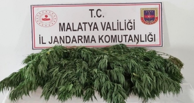 Malatya'da 10 kilo esrar ele geçirildi