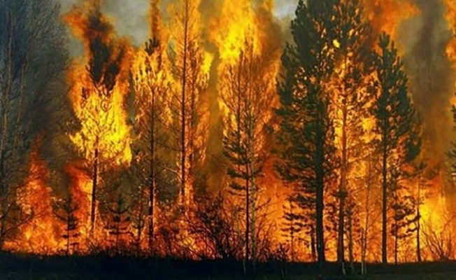 Türkiye'de son 2 yılda, 50 yılda gerçekleşen yangınlardan daha fazla yangın çıktı