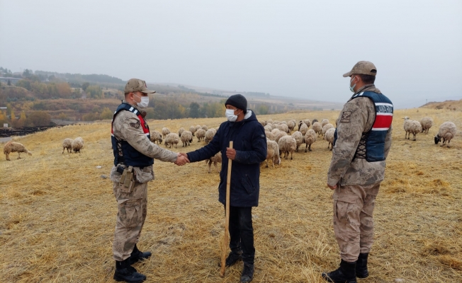 Kayıp koyunları jandarma drone ile buldu