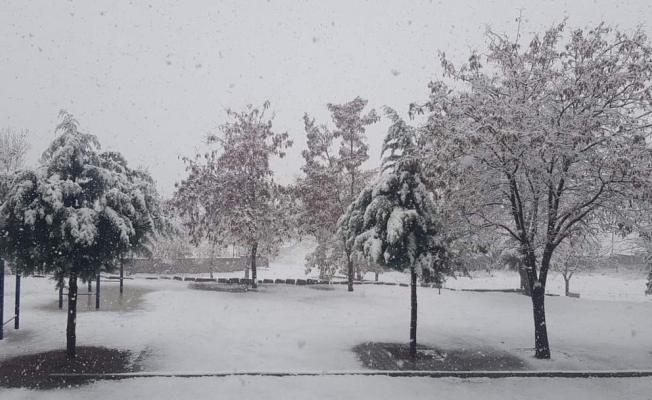 Doğanşehir'de kar yağışı başladı