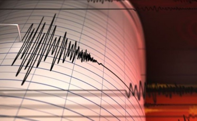 Malatya üç dakika arayla iki depremle sallandı