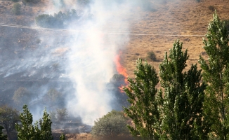 Hekimhan'da 50 hektarlık alanda yangın!
