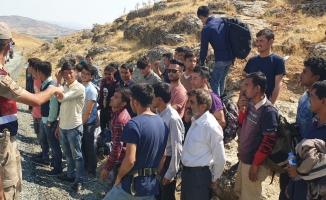 Malatya'da 39 kaçak göçmen yakalandı!