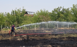 Yangın 10 hektar alanı küle çevirdi!