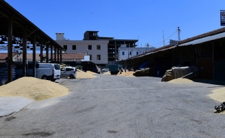 Malatya'nın kanayan yarası: Buğday pazarı!..
