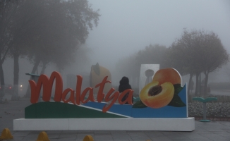 Yoğun sis Malatya'yı etkisi altına aldı