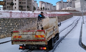 Cadde ve sokaklarda karla mücadele çalışmaları