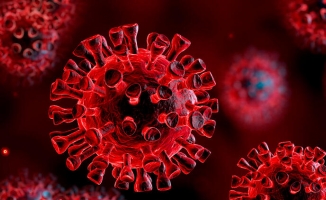 Malatya'daki koronavirüs vaka sayısı açıklandı! Artış var!