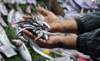 Malatya'da havalar soğudu, balığa talep arttı