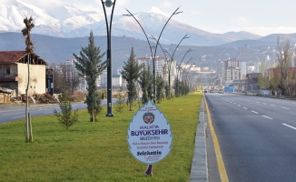 Büyükşehir Belediyesi ağaçlandırma çalışmalarına devam ediyor