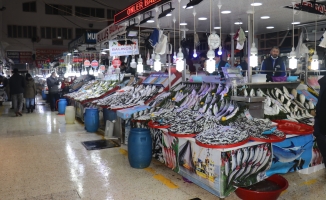 Malatya’da balık fiyatları esnaf ve müşteriyi memnun etti
