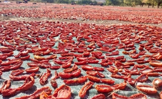 Kurutmalık domates daha da yaygınlaştırılacak