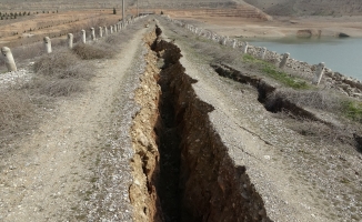 Sultansuyu Barajında ürküten görüntü