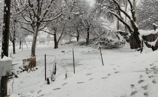 Malatya’ya ilk kar yağdı